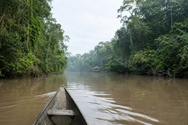 Peque-peque boat approaching an Amazon retreat dock on the Río Momón