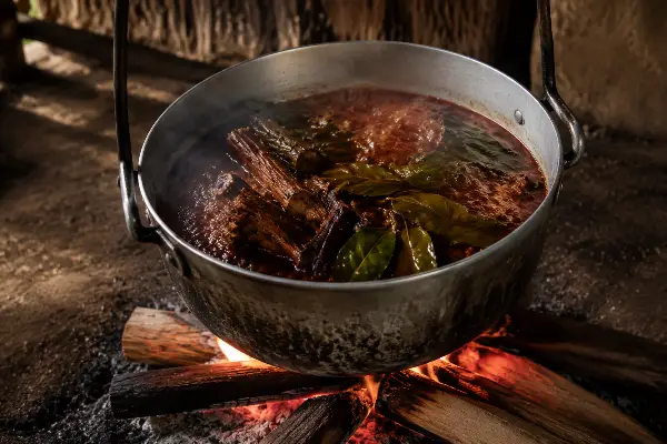 Ayahuasca vine and chacruna leaf reducing in an aluminium pot over a wood fire