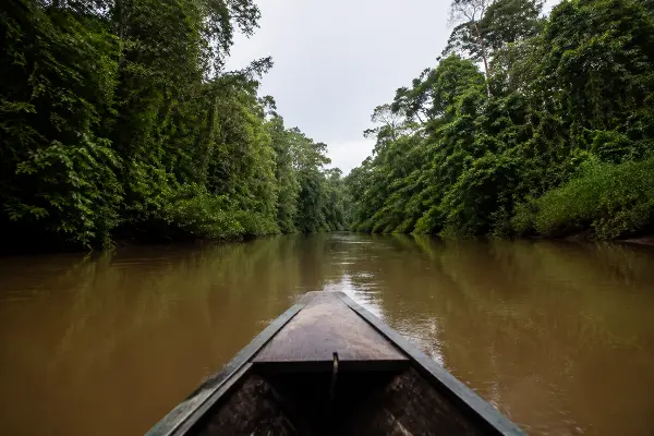 River approach to an ayahuasca retreat 90 minutes upriver from Iquitos, Peru
