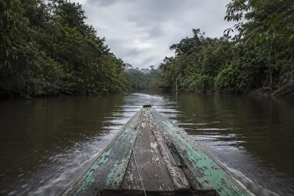 Rio Momon upriver from Iquitos, the approach to the mestizo vegetalismo retreat