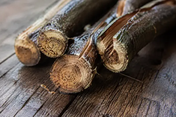 Split ayahuasca vine showing the inner fibres that carry harmine and harmaline