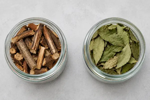 Ayahuasca vine and chacruna leaf in separate jars, the split that changes US legal status