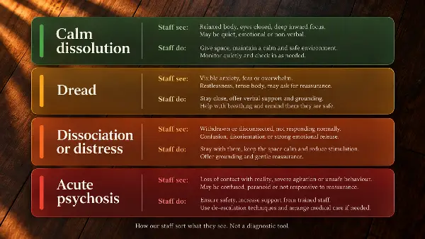 Infographic of 4 states staff tell apart during ayahuasca ego dissolution: calm, dread, dissociation and psychosis