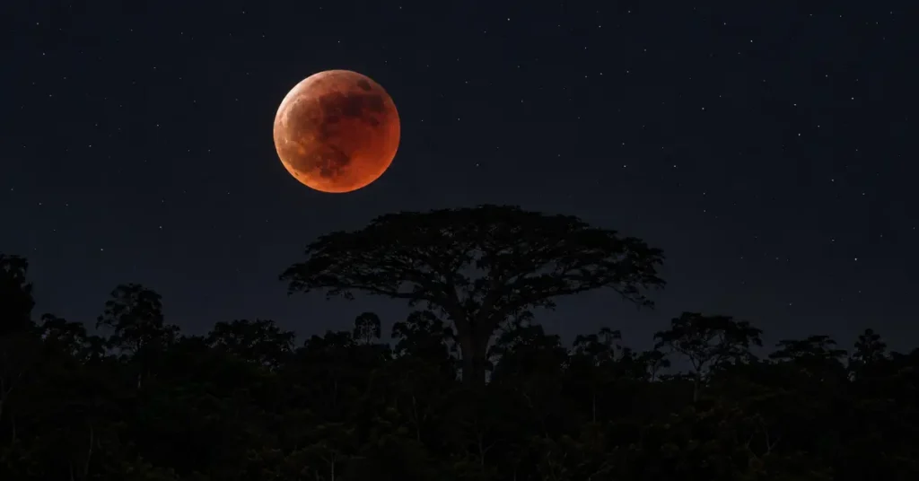 Lunar eclipse over the Amazon canopy, a night that darkens and then passes, like an ayahuasca dark night of the soul
