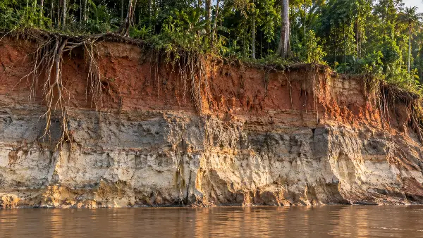 Layers of sediment exposed in an Amazon riverbank at low water