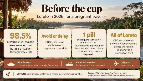 Infographic: CDC advice and Loreto's 2026 malaria numbers for ayahuasca and pregnancy travel
