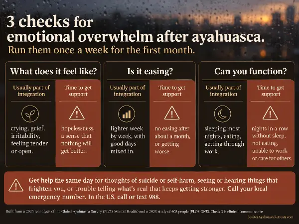 Infographic: 3 checks for when emotional overwhelm after ayahuasca needs support, plus same-day warning signs
